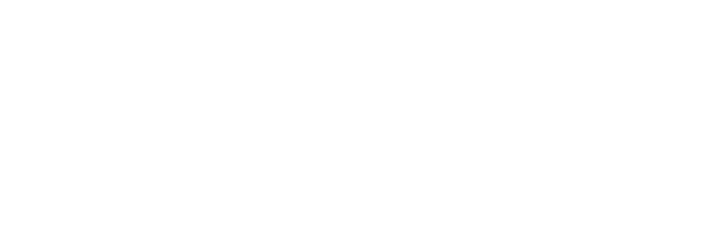 Visulution